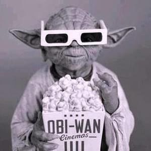 Meet your Posher, Bradley